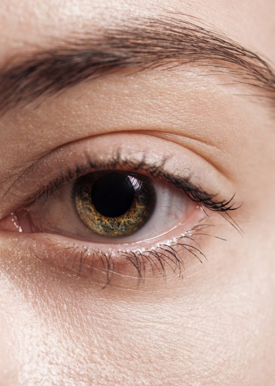 close up view of young woman green eye looking at camera